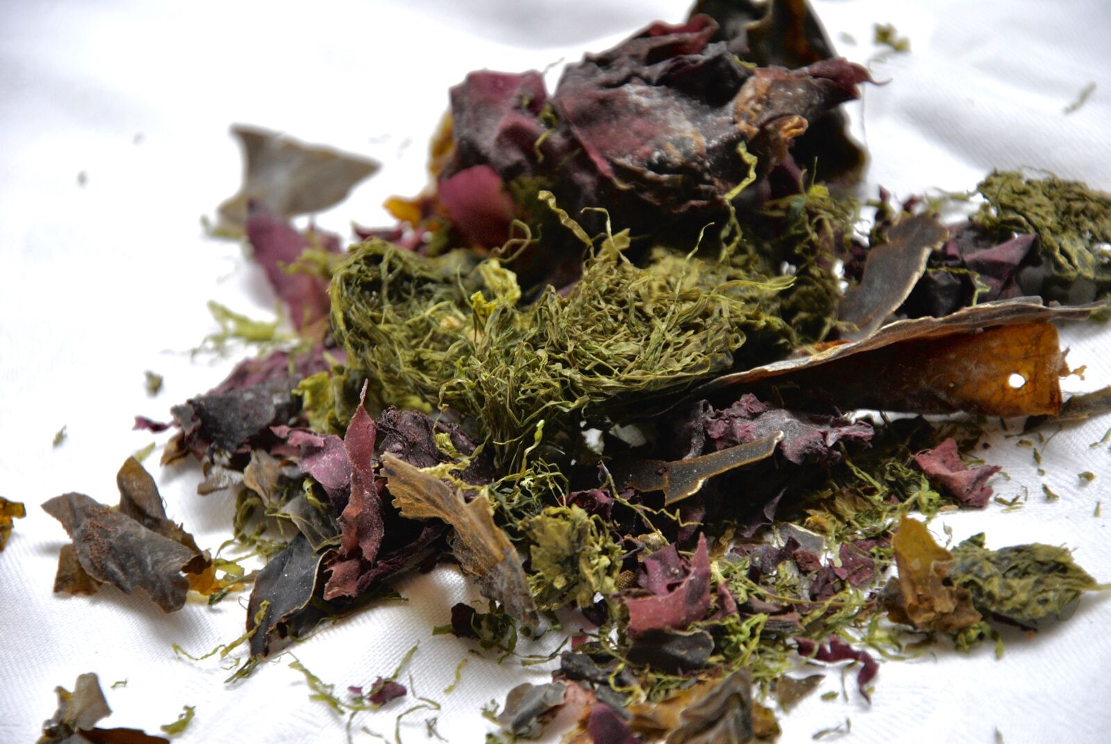 Nikon D3000 sample photo. Seaweed, dried, food photography