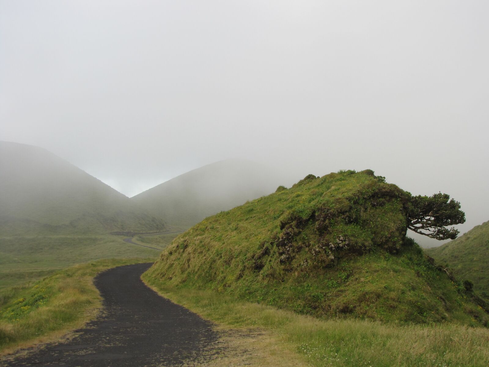 Canon PowerShot SX10 IS sample photo. Mist, green, hill photography