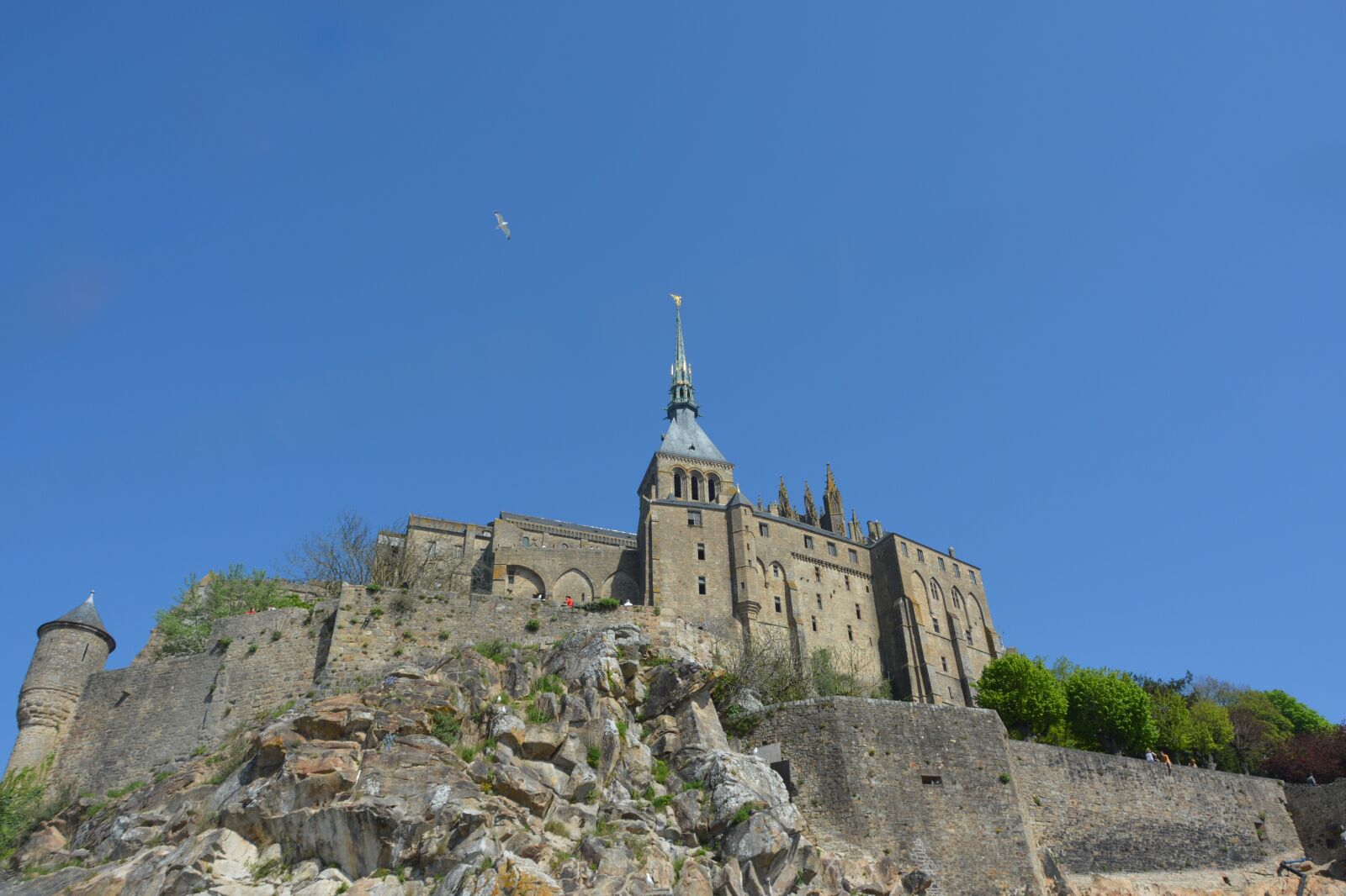 Nikon D5200 sample photo. Mont saint michel, bay photography