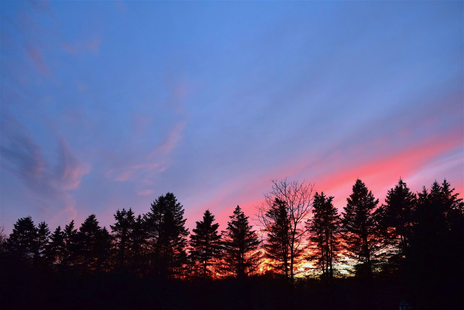 Nikon D3300 sample photo. Sunset, sky, silhouette photography