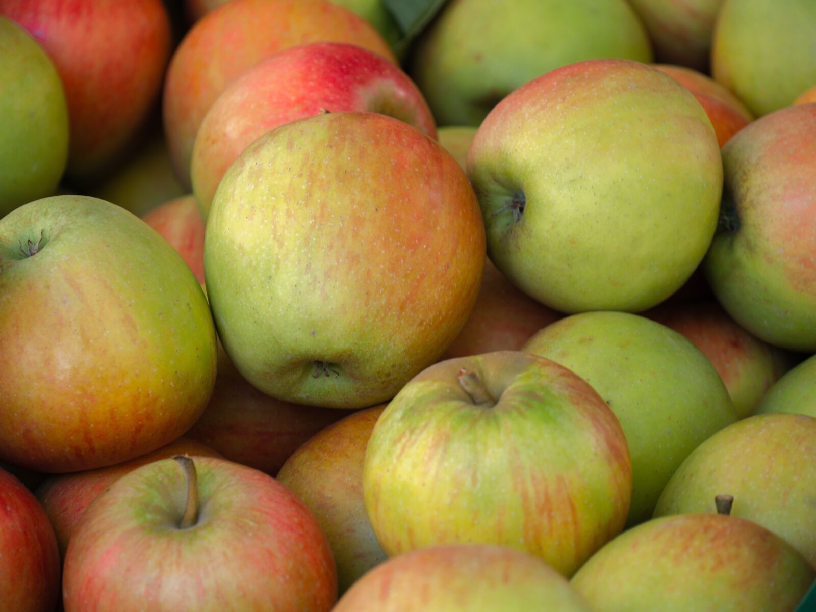 Panasonic DMC-G81 sample photo. Apple, fruit, vitamins photography