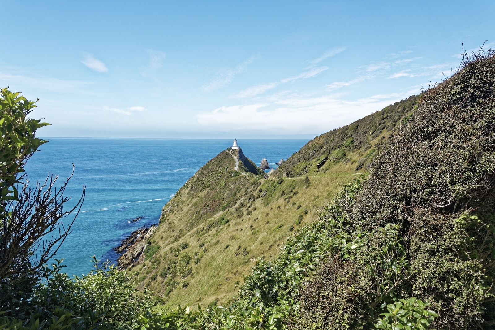 Nikon D500 sample photo. New zealand, nugget point photography