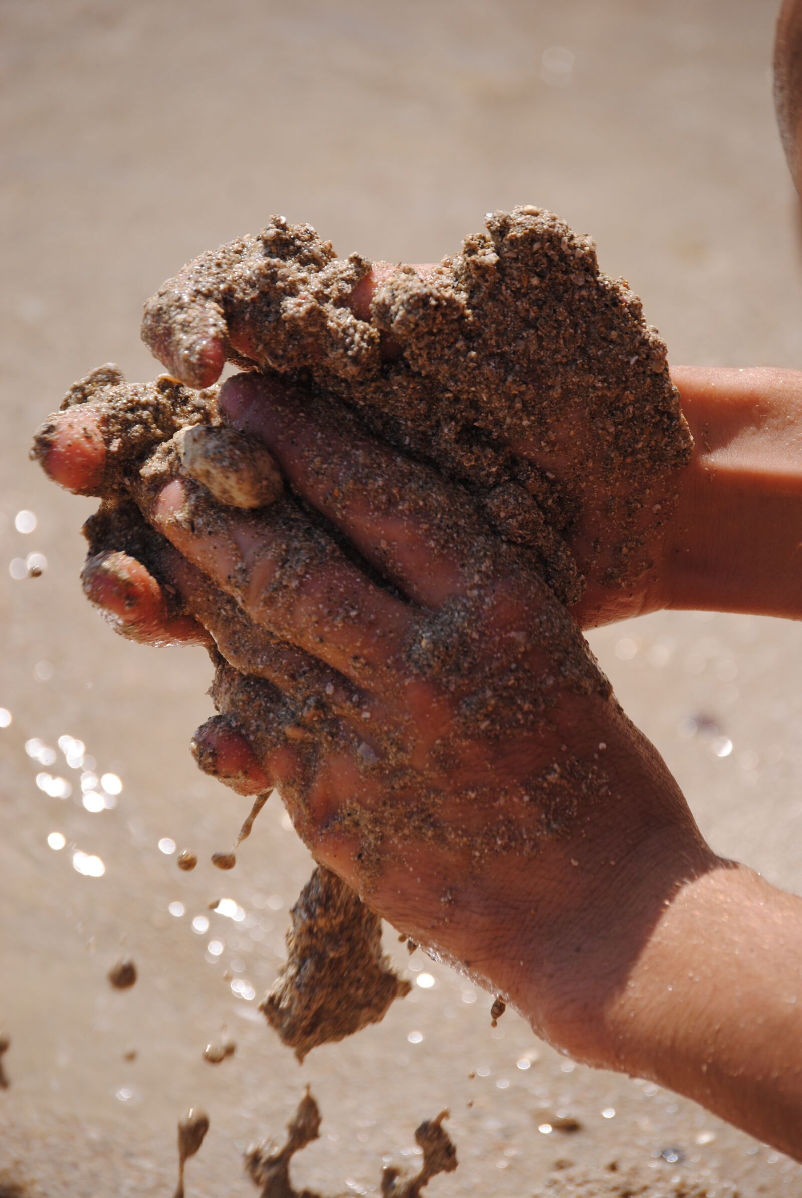 Nikon D3000 sample photo. Hands, sand, knead photography