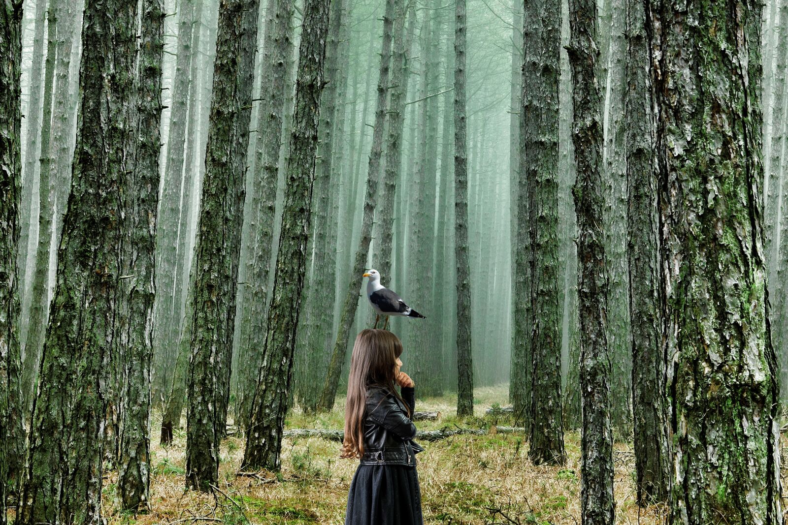 Sony Cyber-shot DSC-RX10 III sample photo. Forest, girl, gull photography