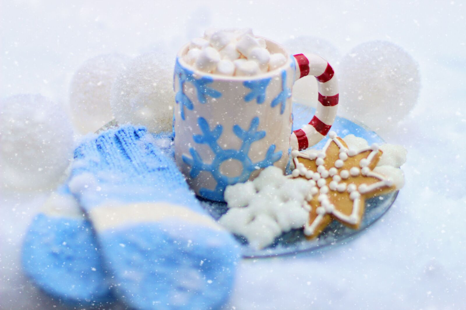Canon EF 50mm F1.4 USM sample photo. Hot chocolate, cocoa, cookie photography