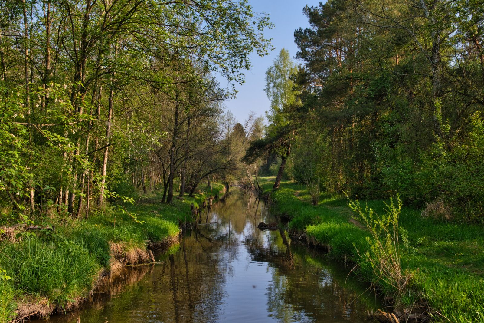 Nikon D7500 sample photo. Water, channel, bach photography