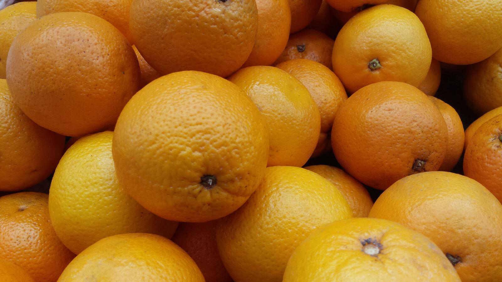 Samsung Galaxy S4 sample photo