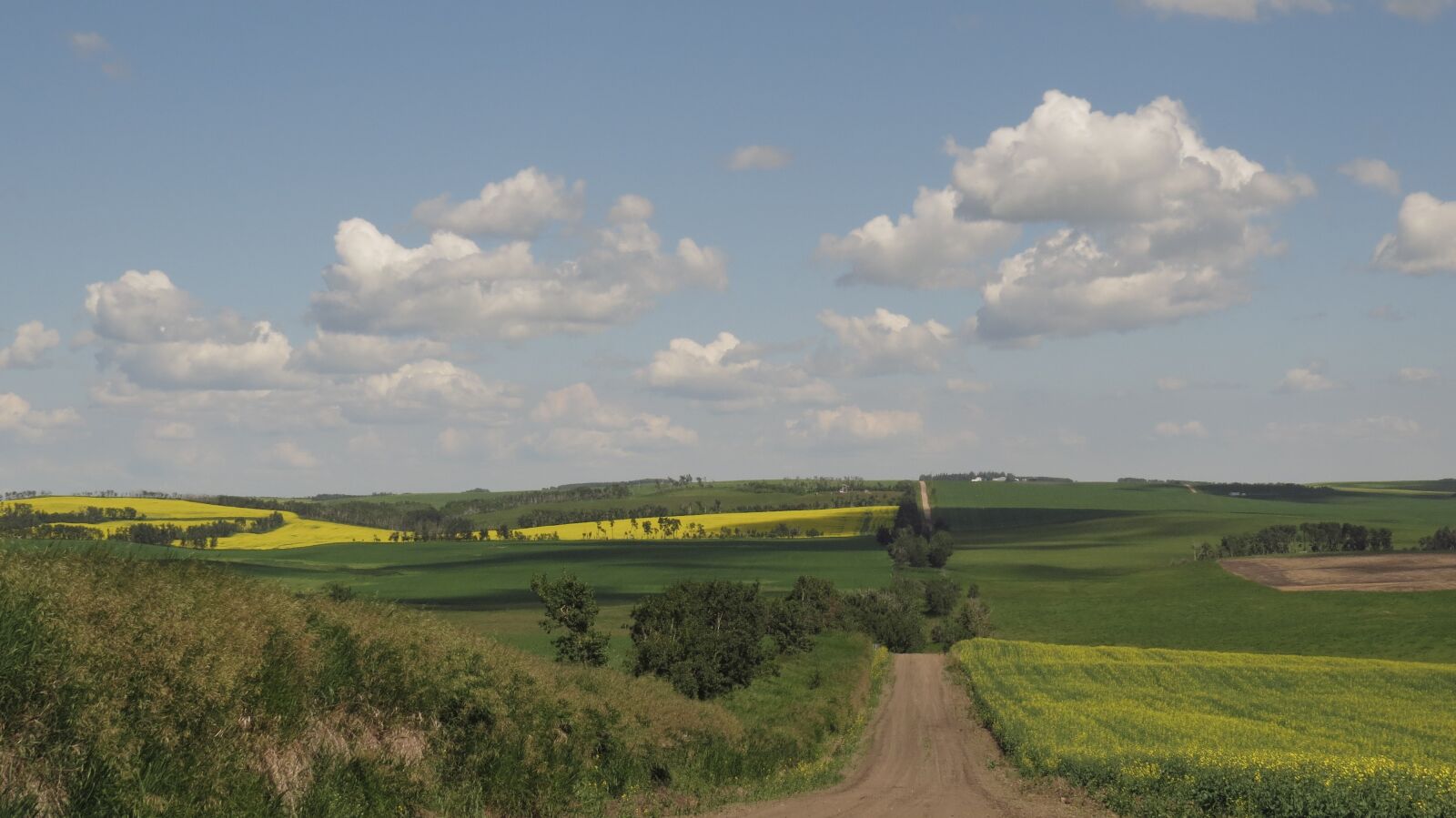 Canon PowerShot SX50 HS sample photo. Rural, country road, horizon photography
