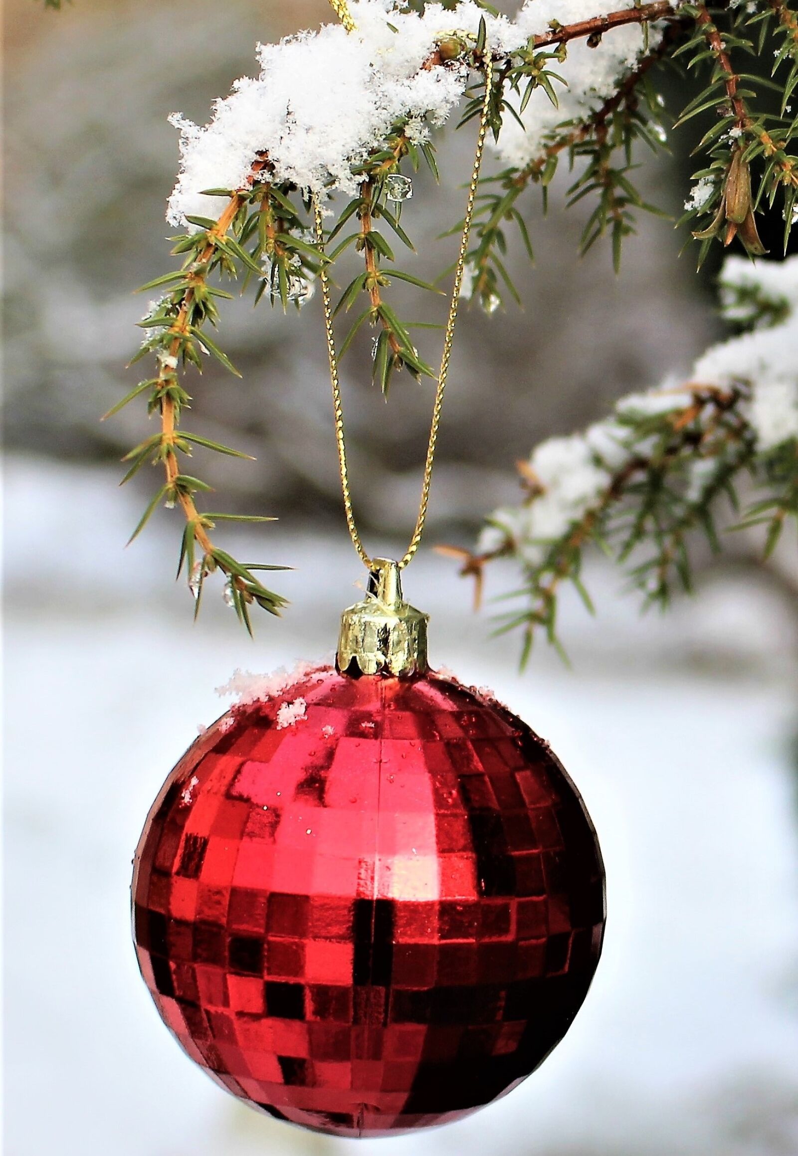 Canon EOS 700D (EOS Rebel T5i / EOS Kiss X7i) sample photo. Julkula, winter, christmas photography