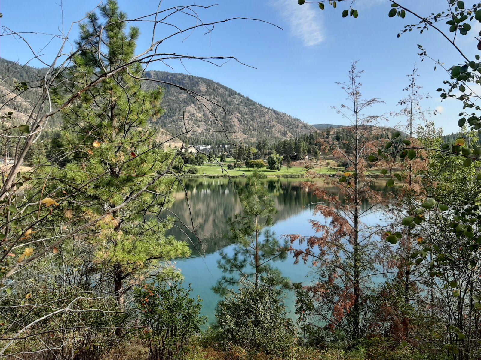 Samsung Galaxy A50 sample photo. British, columbia, canada photography