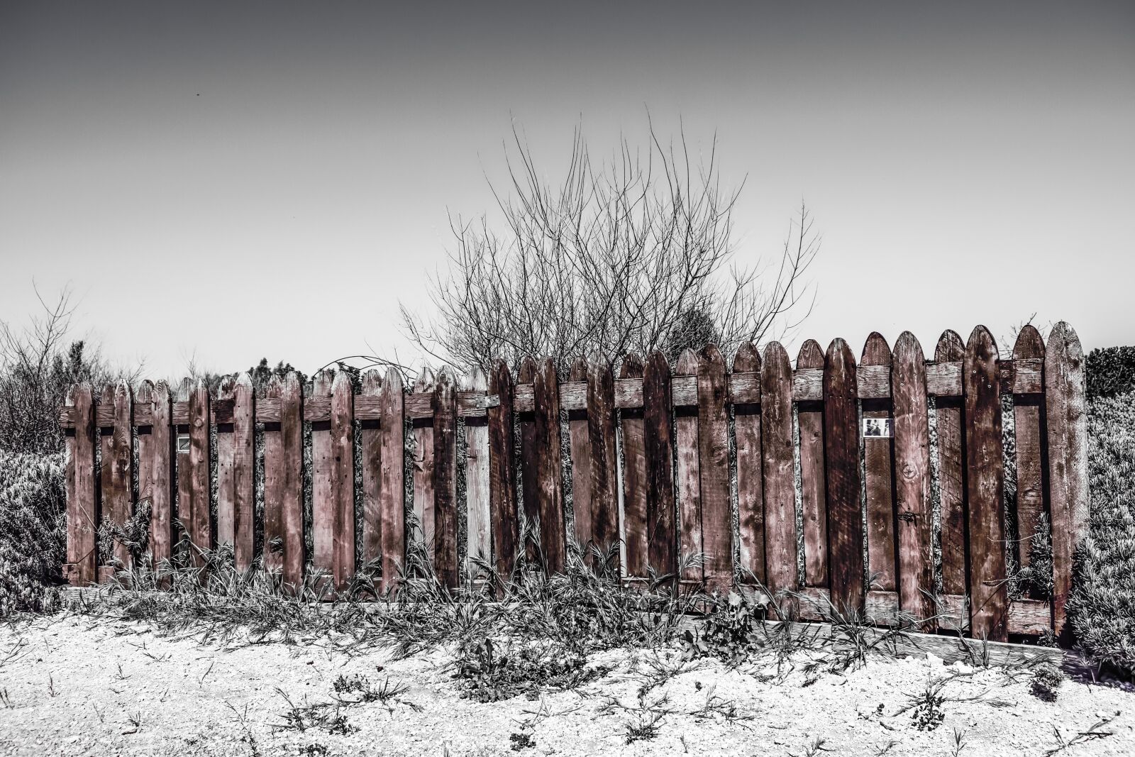 Nikon D3300 sample photo. Fence, wooden, brown photography