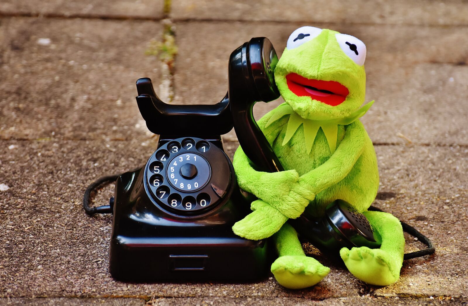 Nikon D7200 sample photo. Kermit, frog, phone photography