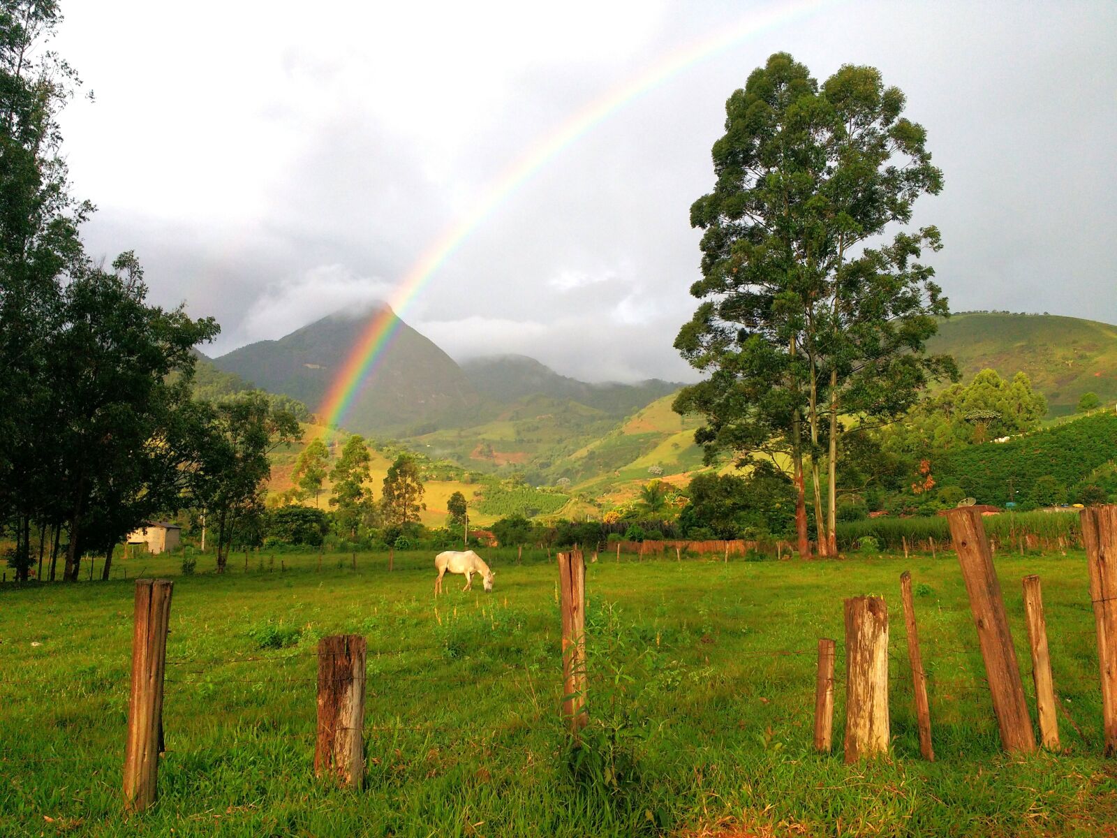 Motorola MotoG3 sample photo. Rainbow, horse, mountain photography