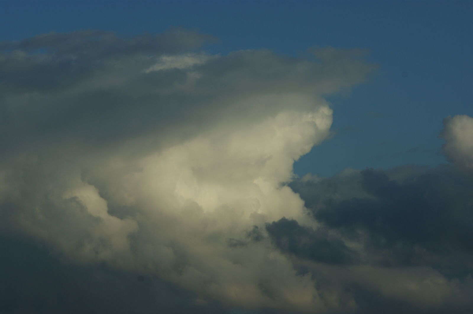 Sony Alpha DSLR-A390 sample photo