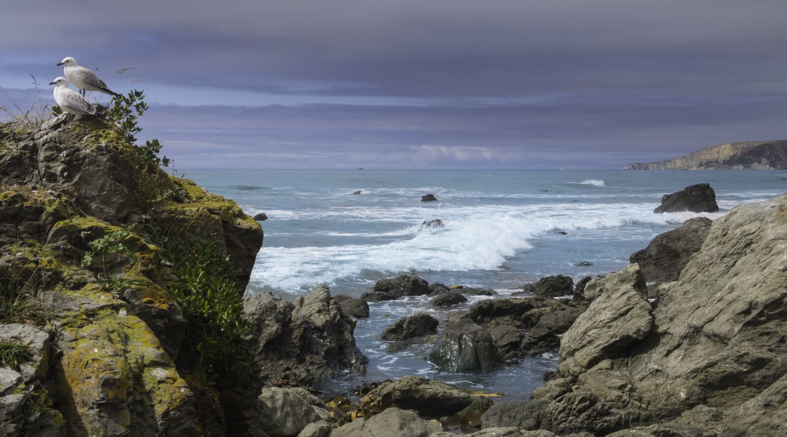 Canon PowerShot G7 X sample photo. Kaikoura, pacific ocean, sea photography