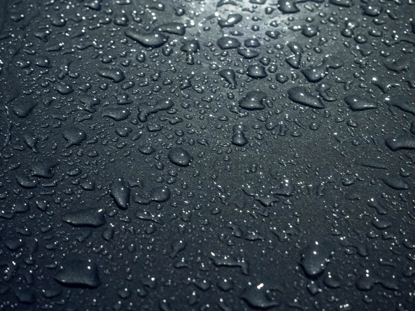 Olympus PEN E-PL5 sample photo. Abstract, clean, close, up photography