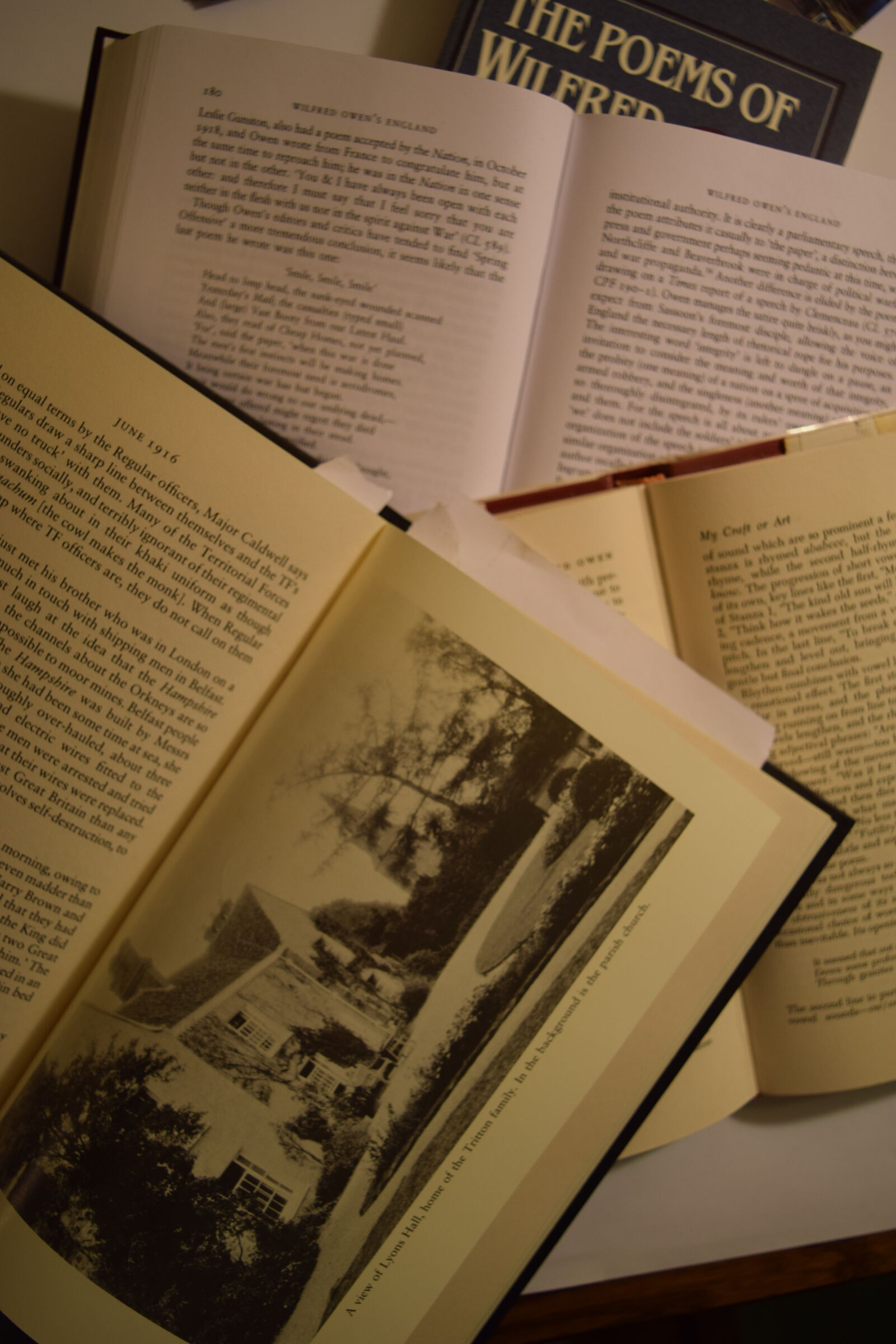 Nikon D3300 sample photo. Book, books, night, poet photography