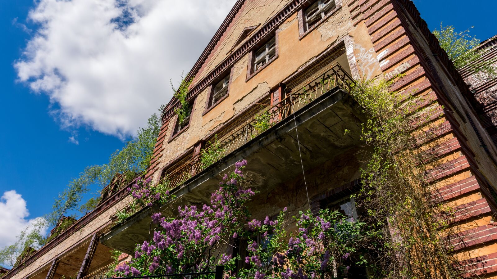 Sony Alpha a5000 (ILCE 5000) sample photo. Architecture, building, facade photography