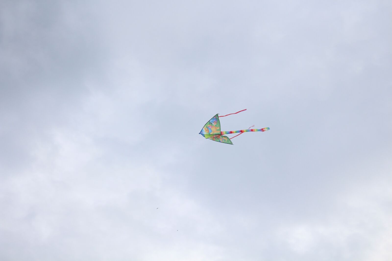 Canon EOS 700D (EOS Rebel T5i / EOS Kiss X7i) sample photo. Kite, sky, color photography