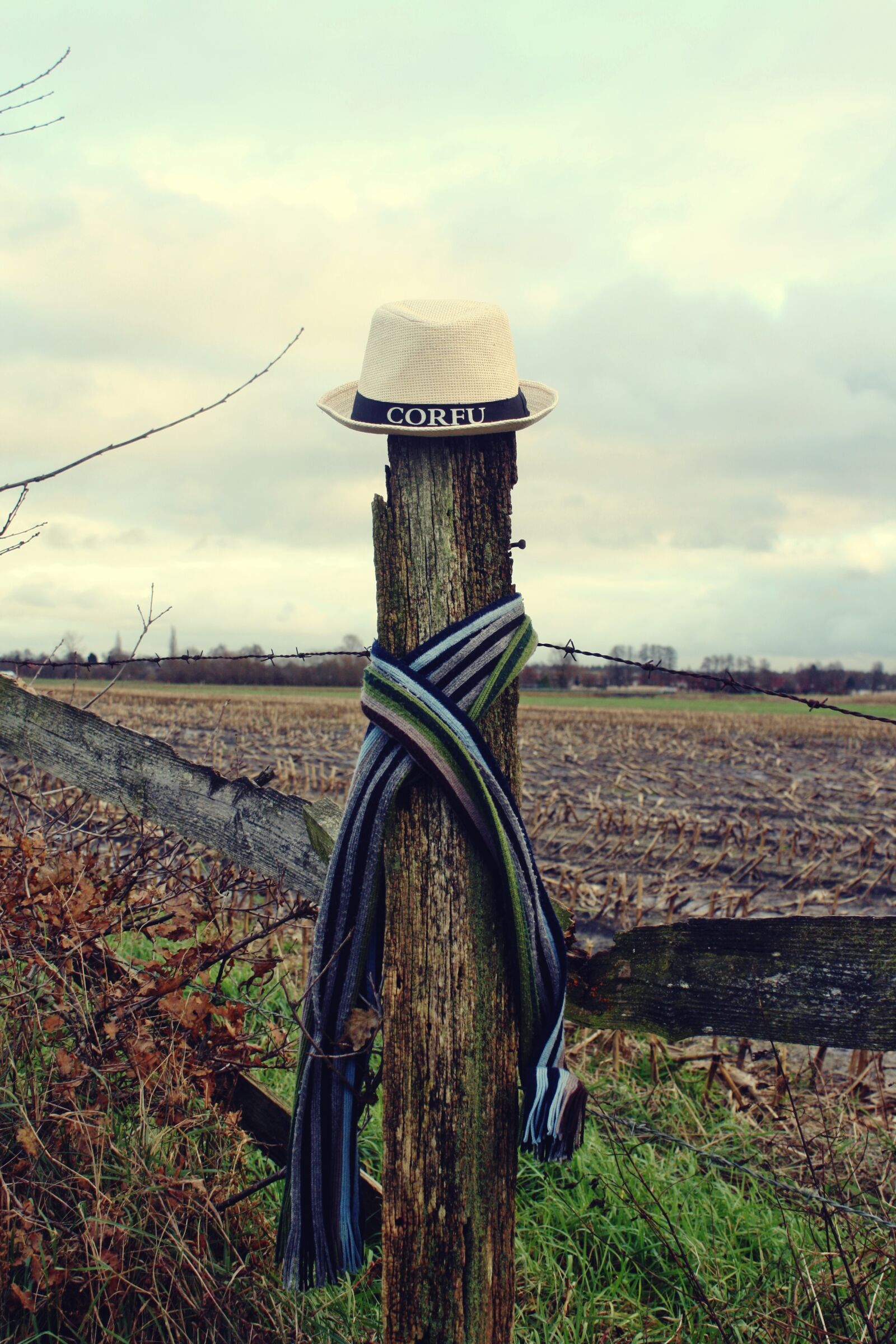 Canon EOS 1000D (EOS Digital Rebel XS / EOS Kiss F) sample photo. Moor, scarecrow, teufelsmoor photography