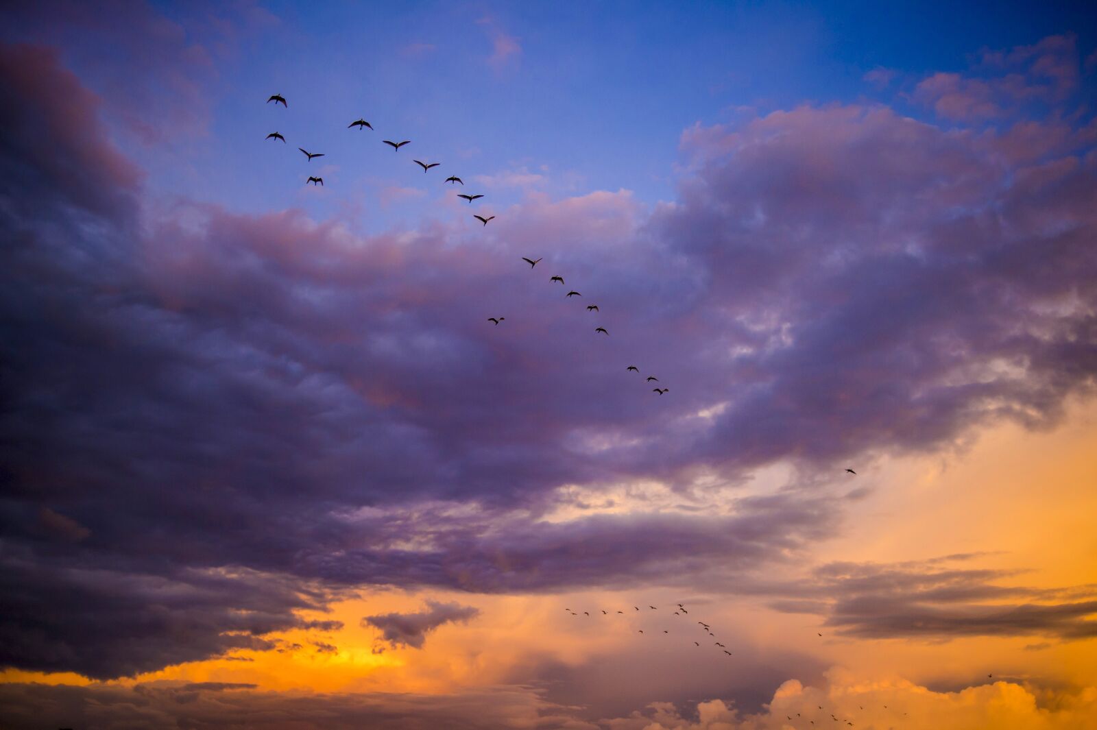 Nikon D4S sample photo. Sunset, africa, migrating birds photography