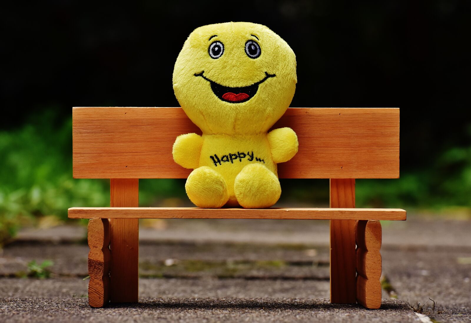 Nikon D7200 sample photo. Smilies, bank, sit photography