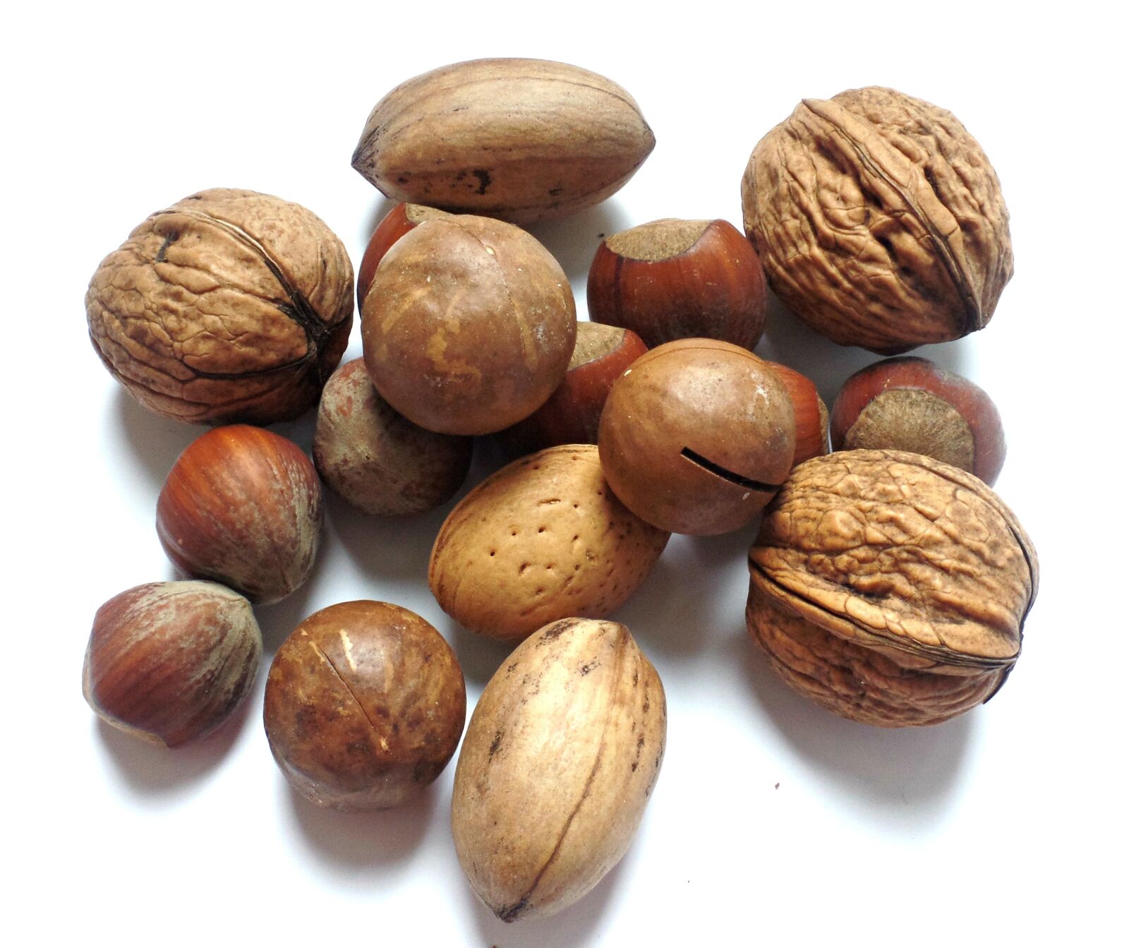 Samsung WB350F/WB351F/WB352F sample photo. Nut, walnut, brazil nut photography