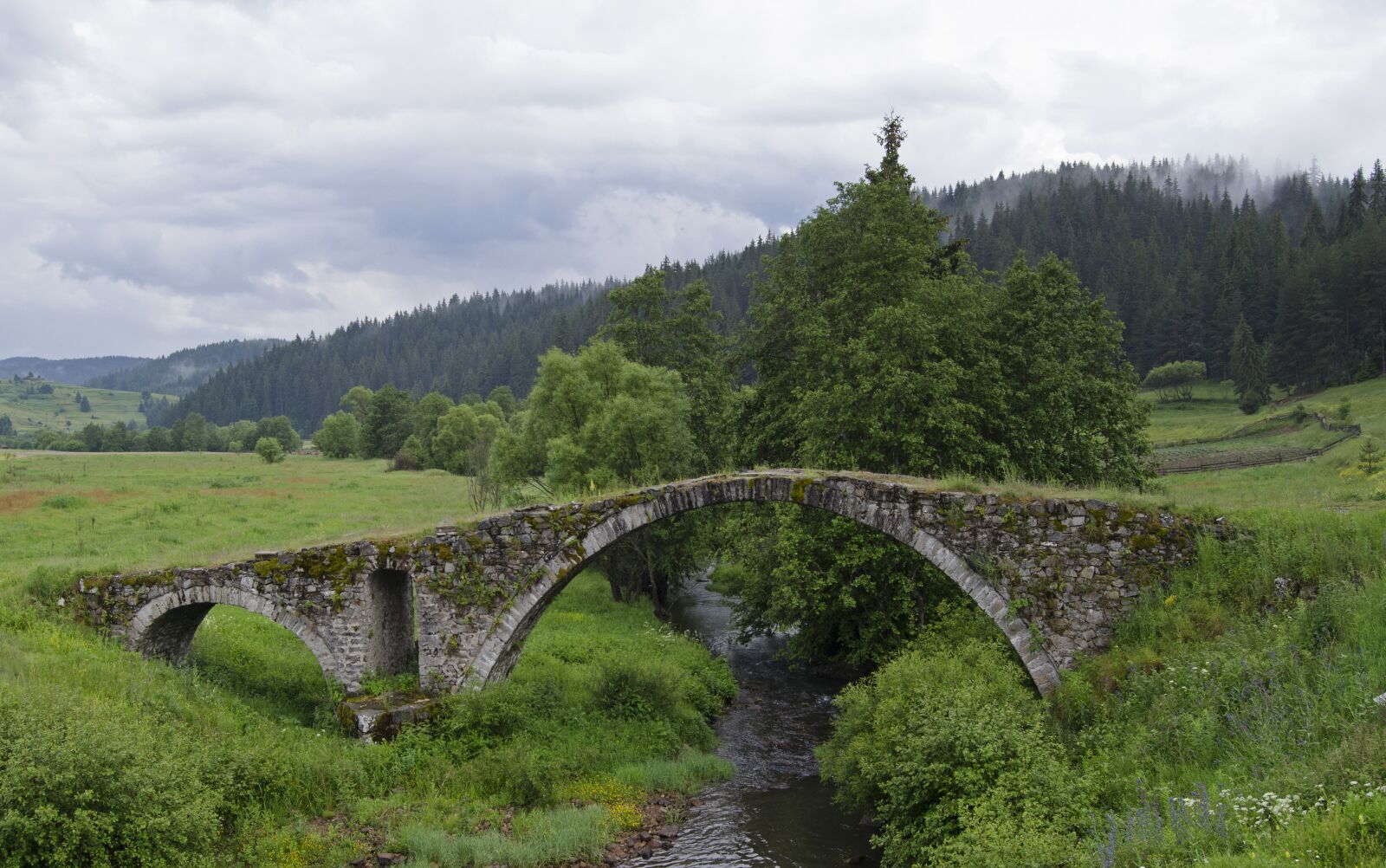 Nikon D5100 sample photo. Bridge, stone, arched photography