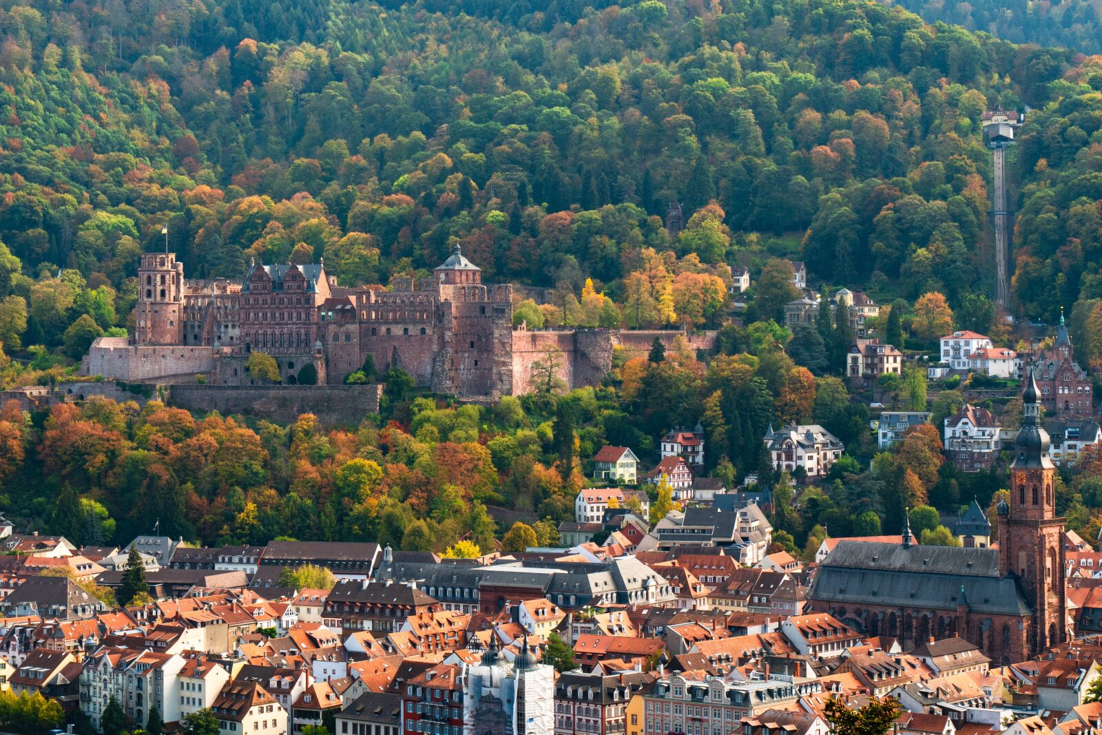 Panasonic DMC-G81 sample photo. Heidelberg, castle, historic center photography