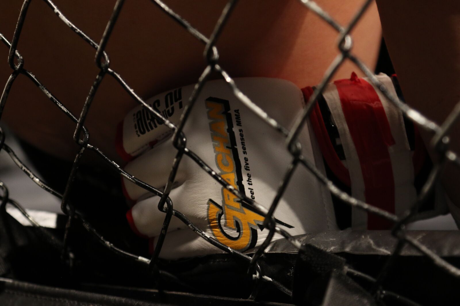 Canon EOS 7D Mark II sample photo. Mma, mixed martial arts photography