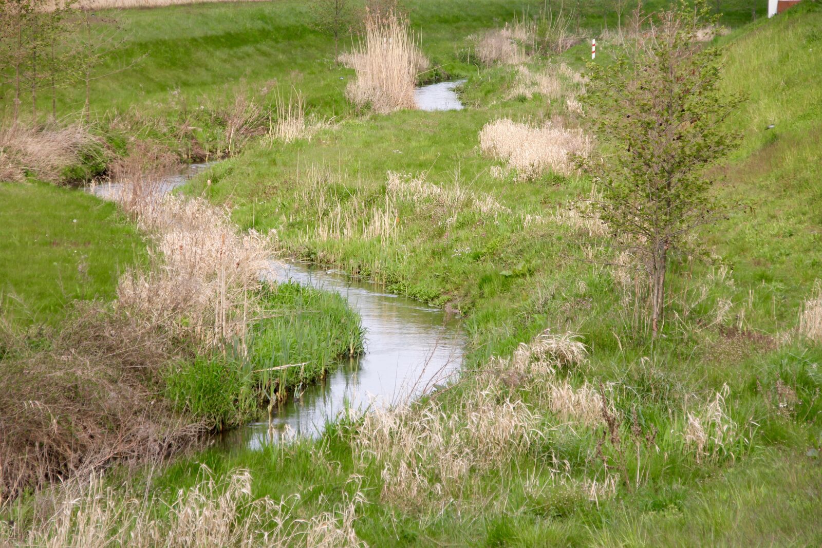 Canon EOS 60D sample photo. Bach, river, water photography