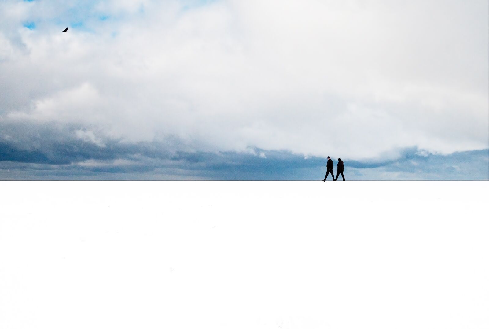 Nikon D300 sample photo. Cold, snow, silhouette photography
