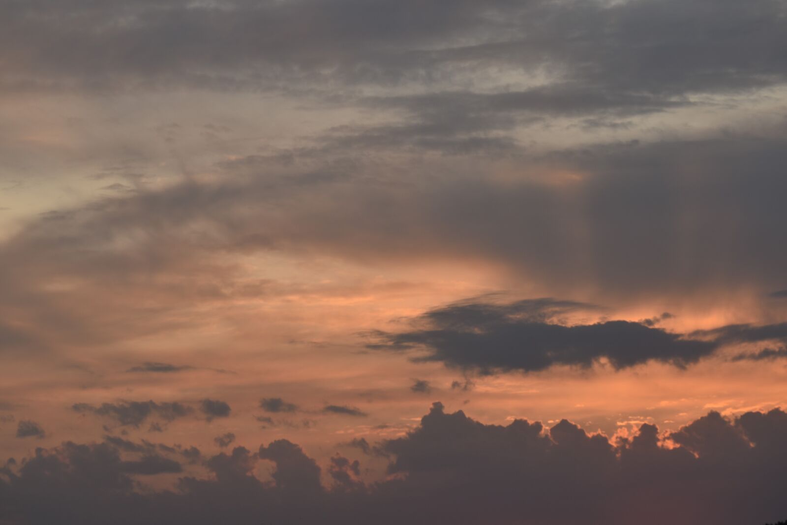 Nikon D5500 sample photo. Clouds, cumulus, overcast, sun photography