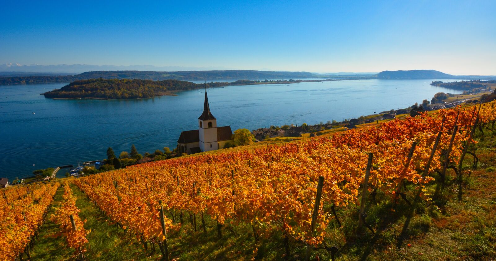 Nikon D7100 sample photo. Vine, lake, vineyard photography