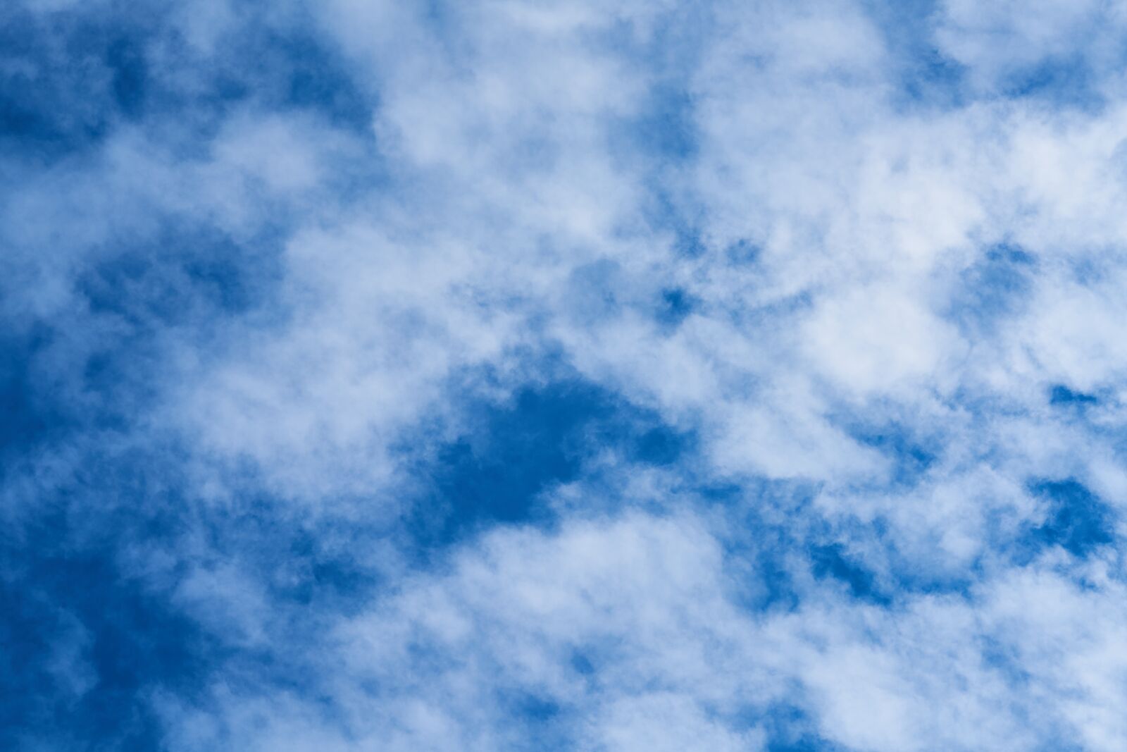 Sigma 85mm F1.4 DG HSM Art sample photo. Cloud, blue, sky photography