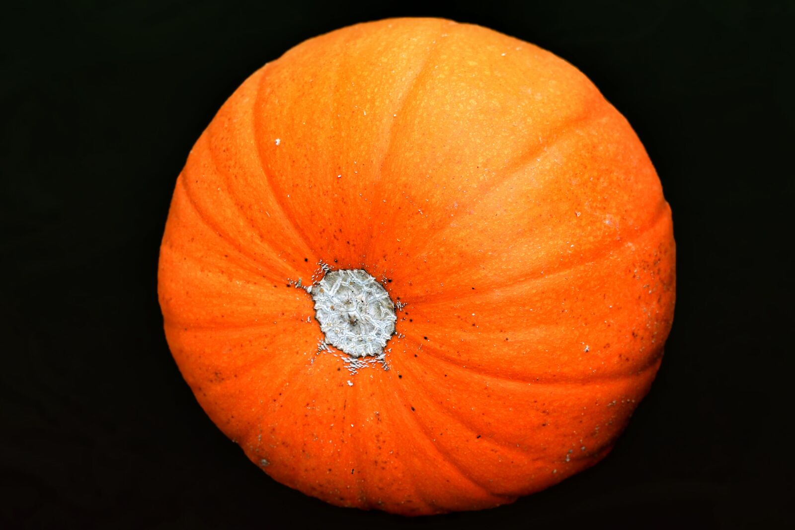 Canon EF-S 55-250mm F4-5.6 IS STM sample photo. Pumpkin, vegetables, food photography