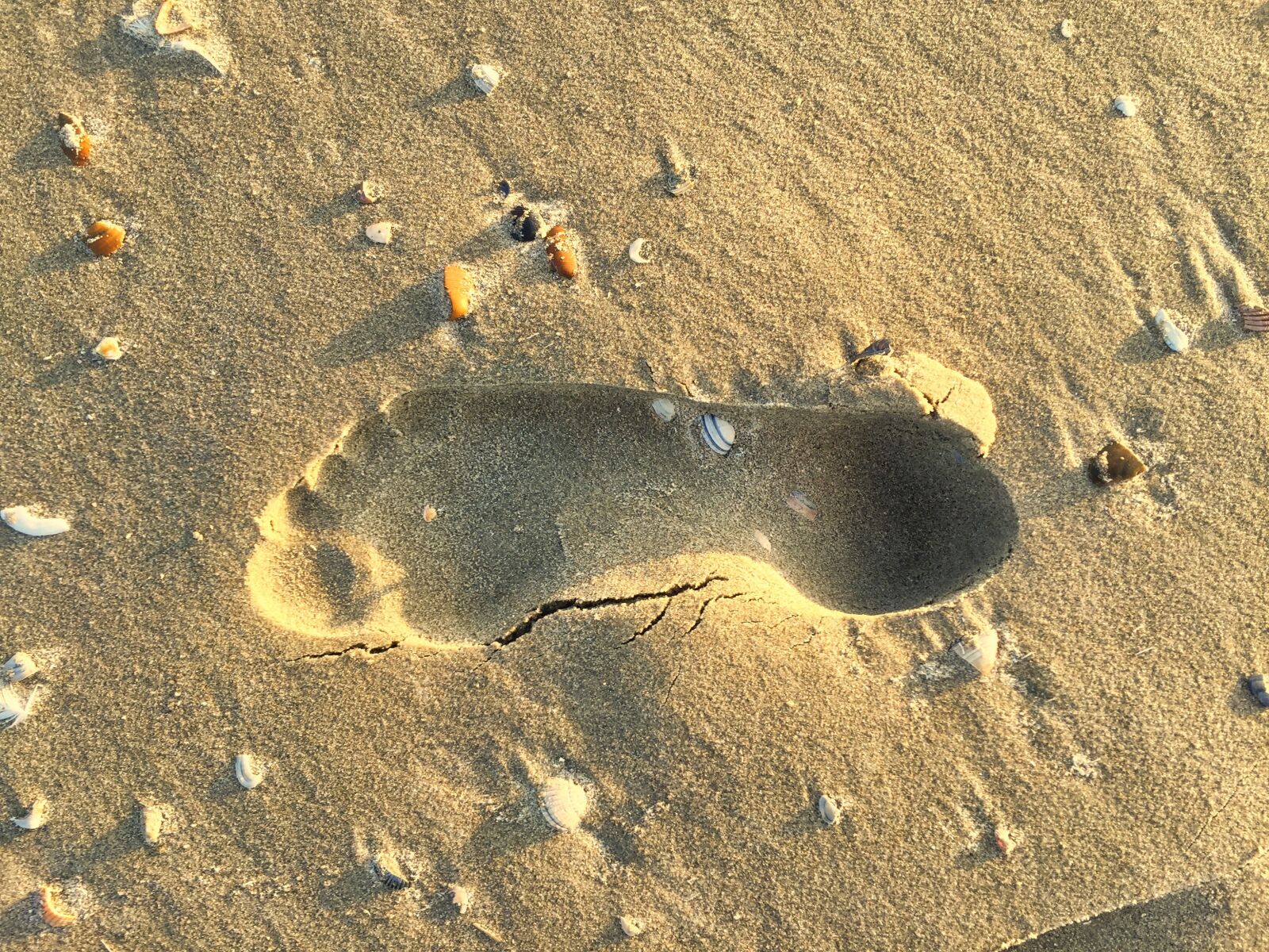 iPhone 6 back camera 4.15mm f/2.2 sample photo. Foot print, beach, sand photography