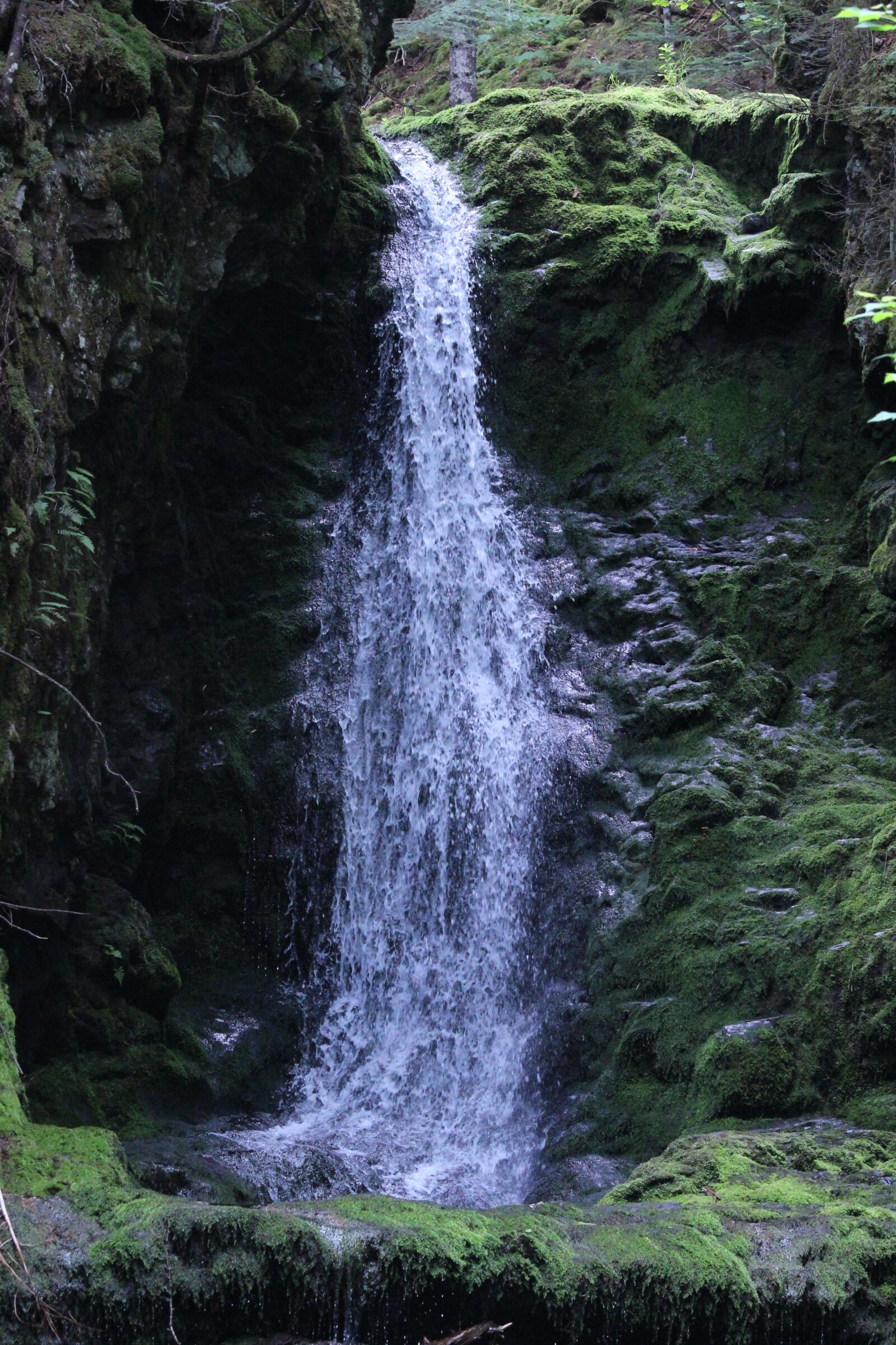 Canon EOS 700D (EOS Rebel T5i / EOS Kiss X7i) + Canon EF-S 55-250mm F4-5.6 IS STM sample photo. Waterfall, mountains, forest photography