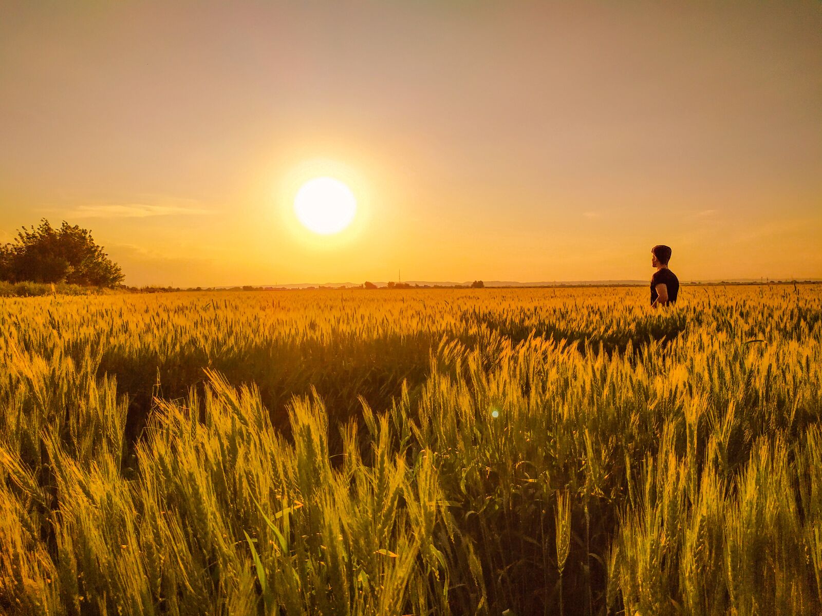 Xiaomi Redmi Note 7 sample photo. Mehmet isikdag, offer, sunset photography