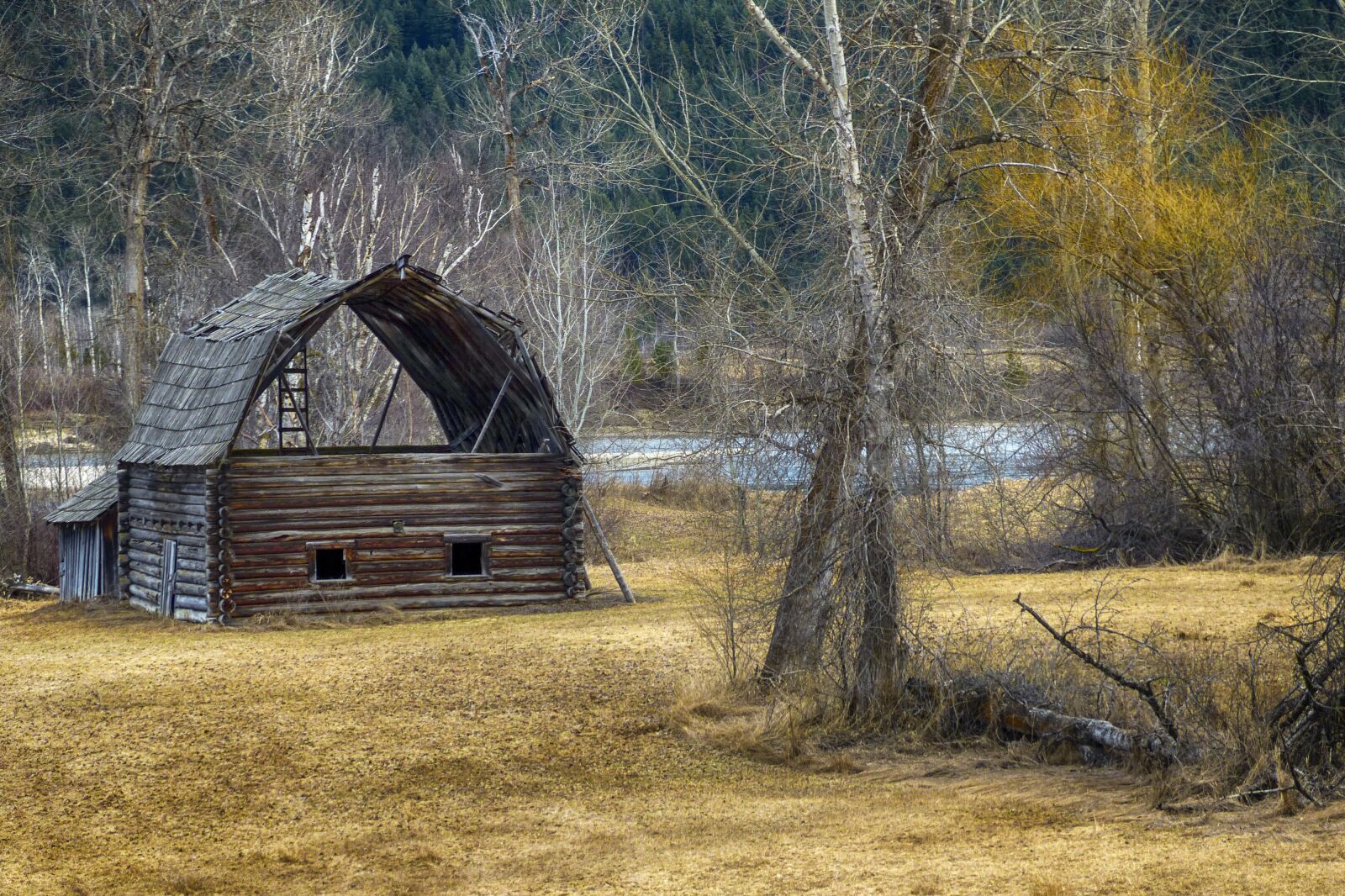 Panasonic Lumix DMC-FZ200 sample photo. Old, wooden, barn photography