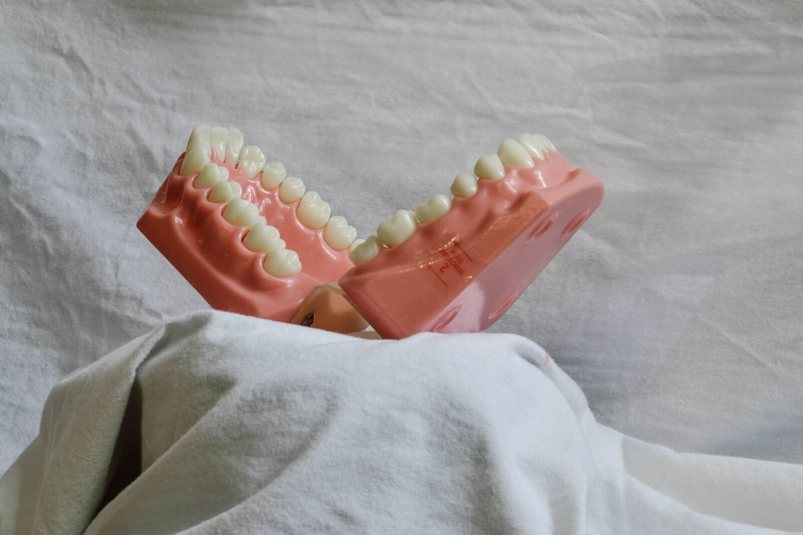 Nikon D3100 sample photo. Teeth, dental, dental model photography