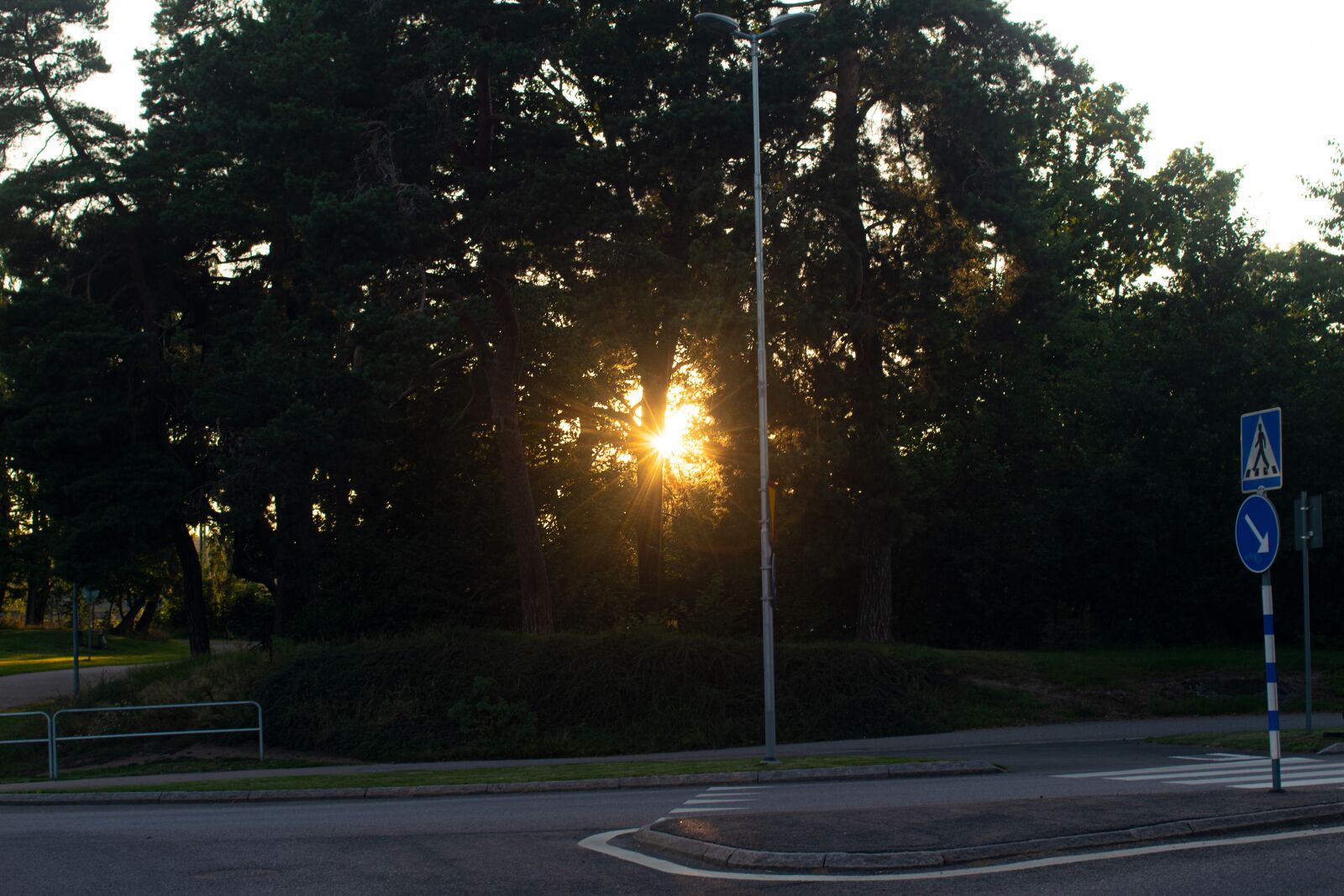 Nikon D5300 sample photo. Sun, light, tree photography