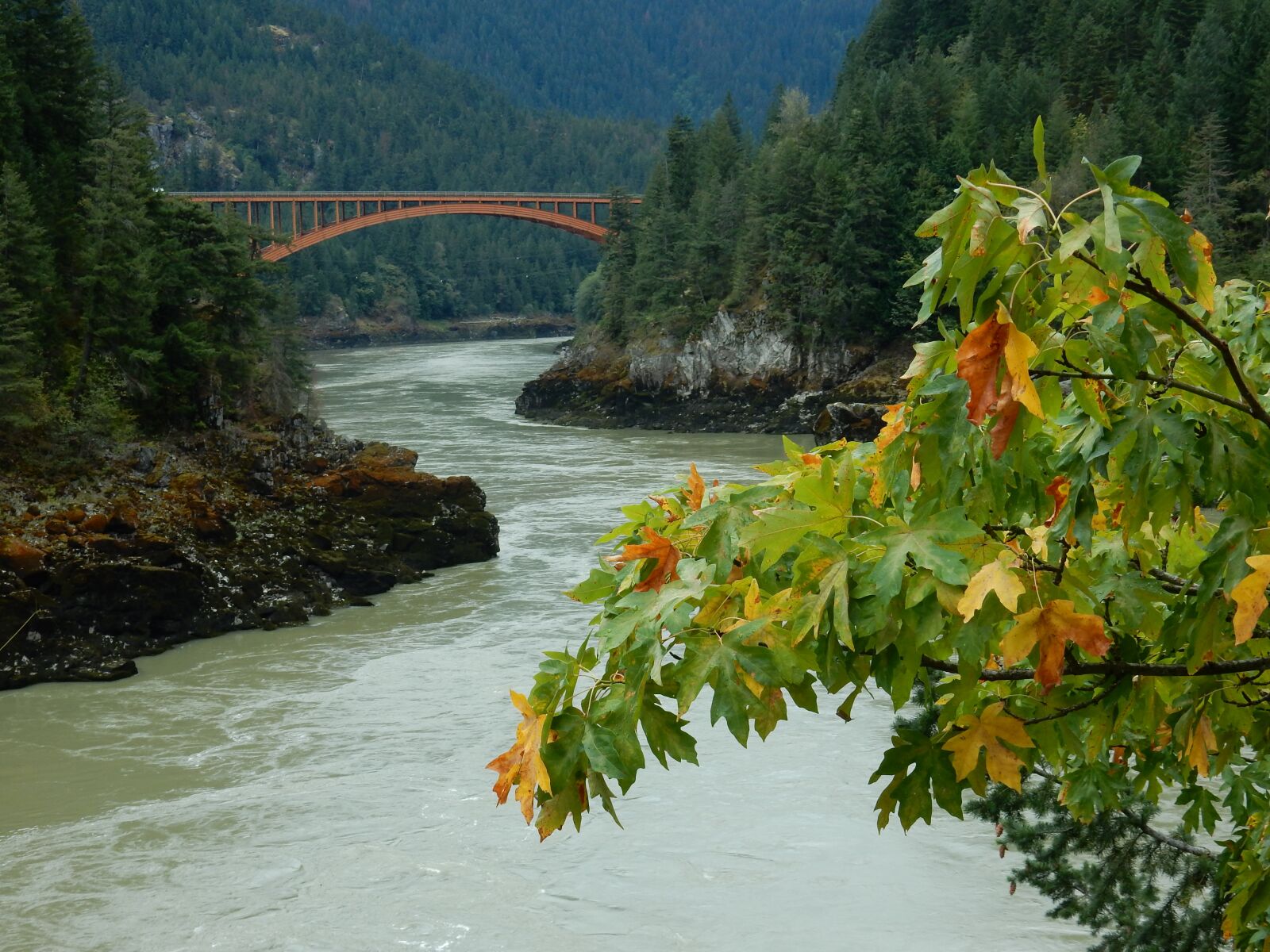 Nikon Coolpix S9900 sample photo. Fraser river, british colombia photography