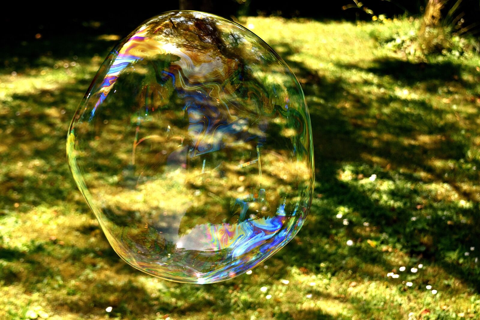 Nikon D7200 sample photo. Soap bubble, huge, large photography