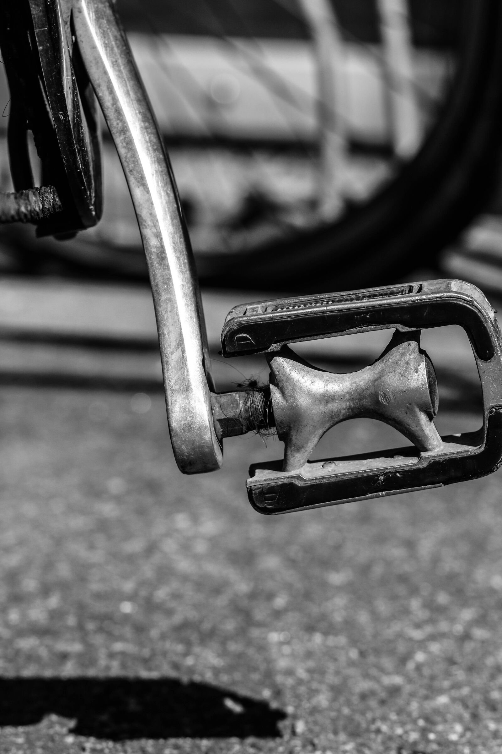 Canon EOS 7D Mark II sample photo. Bicycle, bike, pedal photography