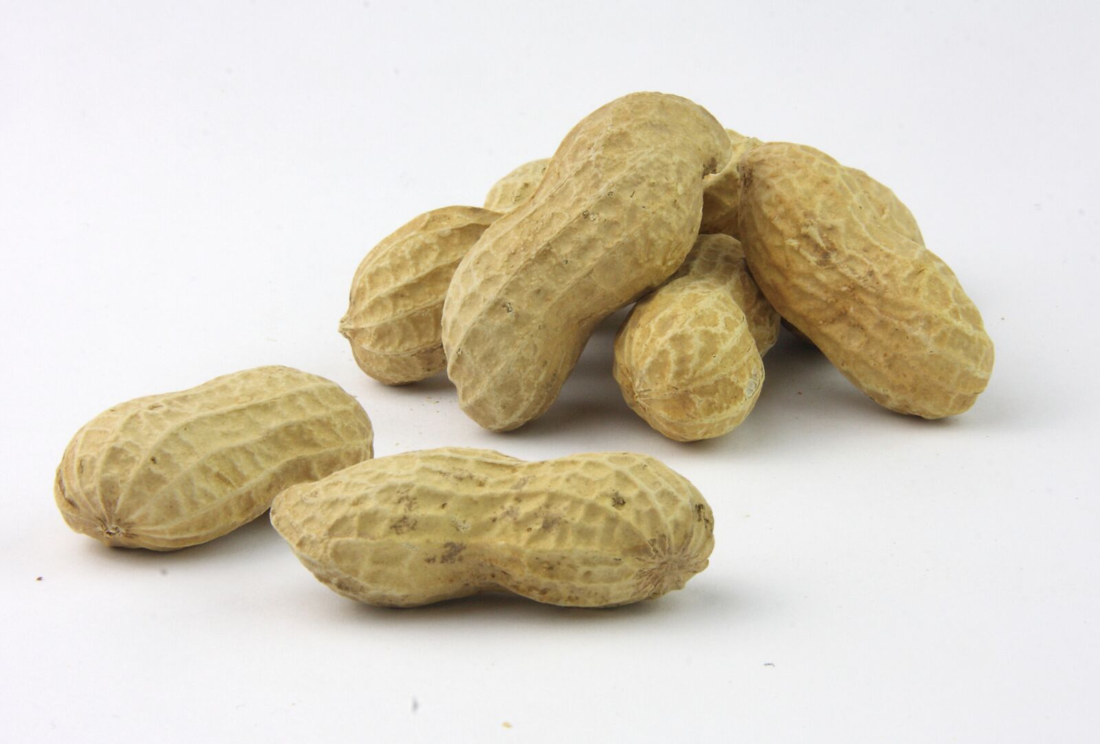 Canon EOS 40D sample photo. Peanuts, dry fruits, peanut photography