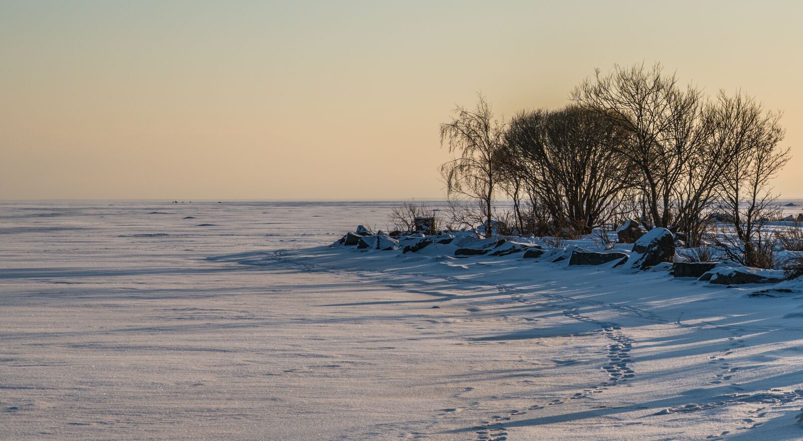 Sony a7R II sample photo. Winter, beach, water photography