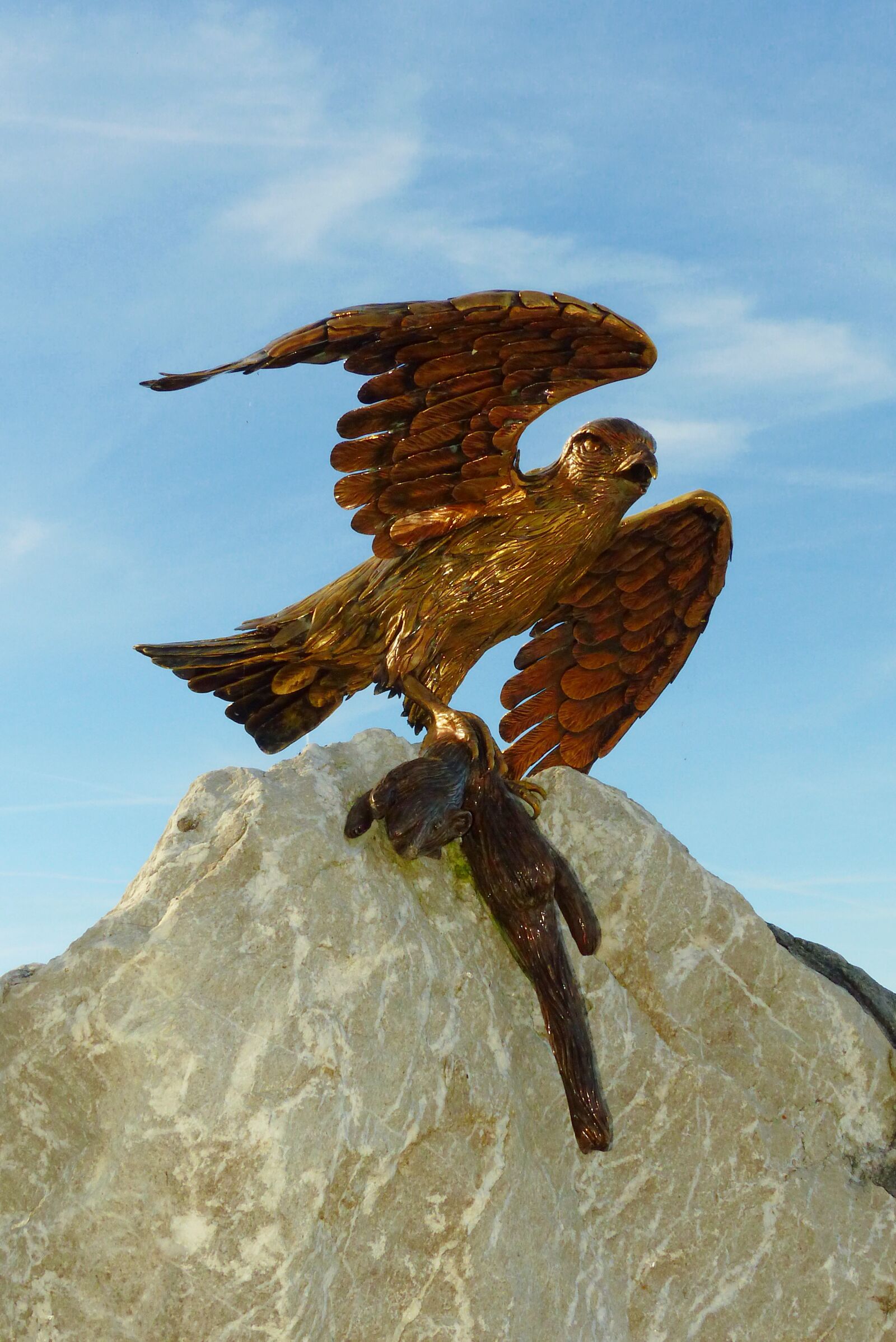 Panasonic Lumix DMC-FZ200 sample photo. Falcon from the falkenstein photography