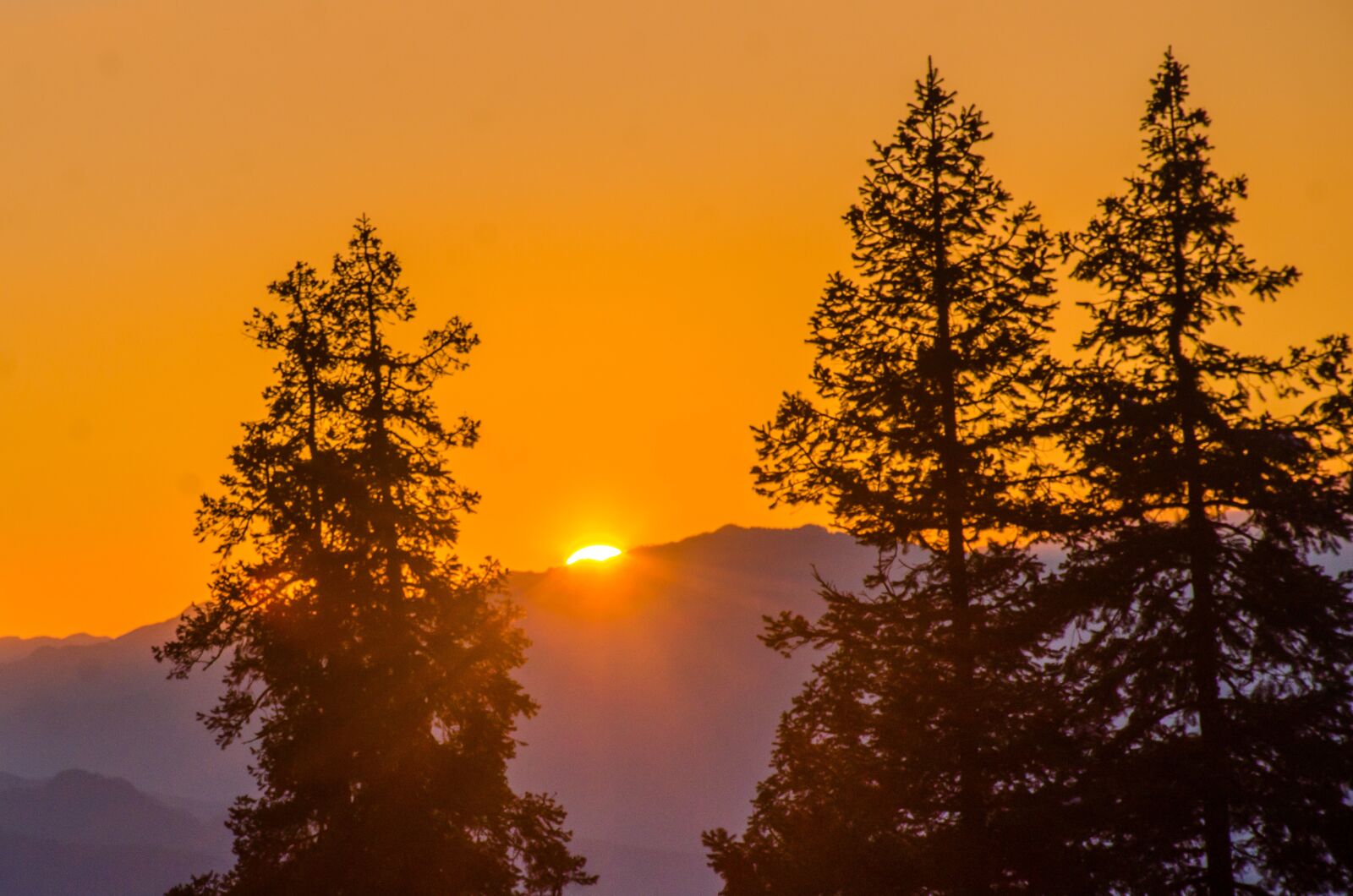 Nikon D7000 sample photo. Sunset, orange, sky photography