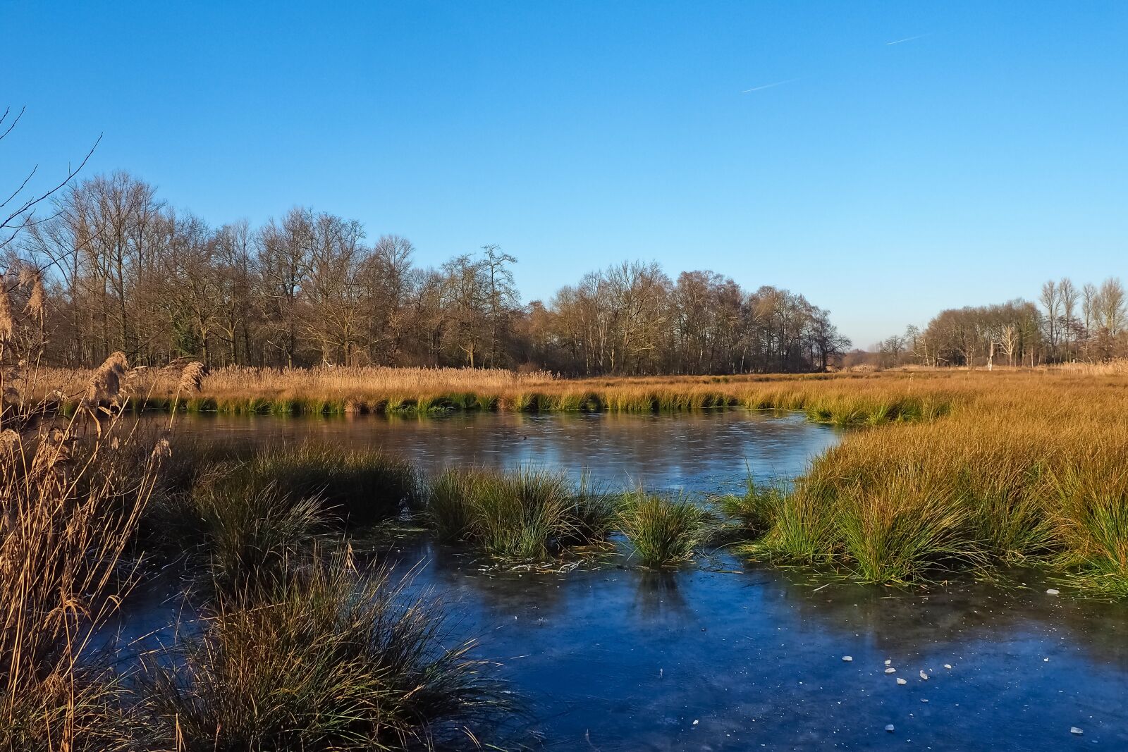 Olympus OM-D E-M10 sample photo. Landscape, lake, nature photography